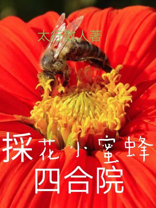 小蜜蜂采花蜜视频