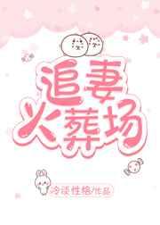追妻火葬场gl全文阅读