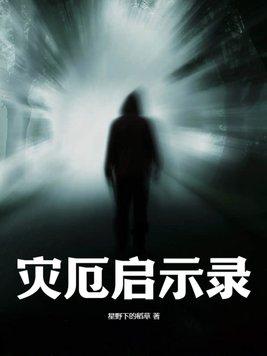 灾厄启示录加农