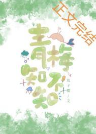 青梅知不知木子喵喵免费阅读