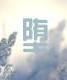 堕怎么读