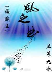 风之海贼王漫画