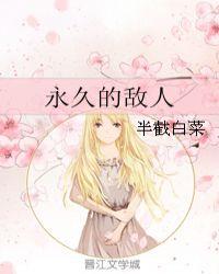 永久的敌人讲的是什么