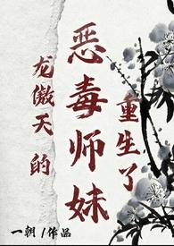 龙傲天的恶毒师妹重生了免费阅读