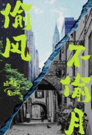 偷风不偷月谁是幕后黑手
