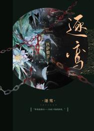 逐鸾讲的什么内容