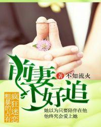 前妻不好追不知流火txt