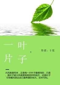 一片叶子的意思是什么