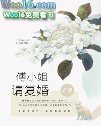 傅总沈小姐