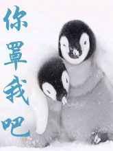 你罩我吧by满子 晋江