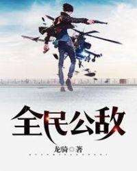 电影全民公敌