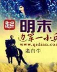 明末边军一小兵卢象升结局