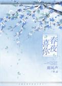 春夜喜你全文