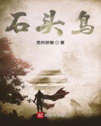 石头鸟品牌图片