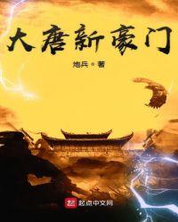 大唐新豪门123