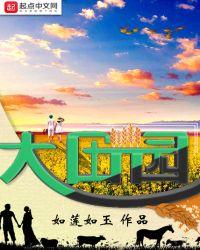 大田园TX