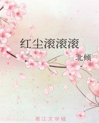 红尘滚滚滚电视剧全集