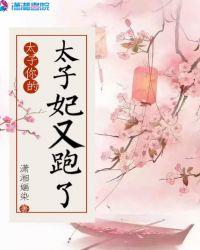 太子妃你别逃了