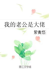 我的老公是大佬全文免费阅渡