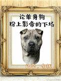 影帝酷爱撒糖晋江