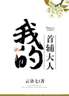 我的首辅大人txt宝书网