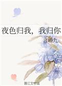 夜色归我我归你全文免费阅读