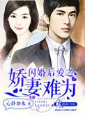 闪婚爱妻免费阅读