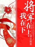 将军在上我在下2