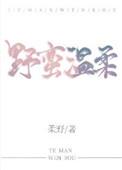 野蛮温柔叶童