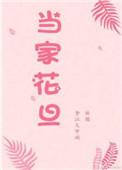 当家花旦姀锡全文免费阅读无弹窗