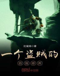 盗贼性格