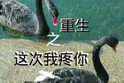 重生之这次我痛你
