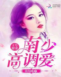 一号新妻全文免费阅读