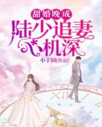 陆少追妻路