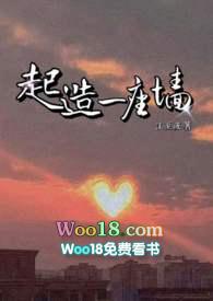 造一面墙多少钱