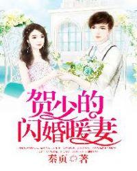 贺少的闪婚暖妻TXT