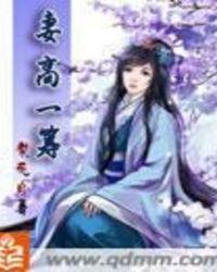 妻高一筹男主