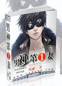 男神第一妻推荐