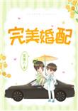完美婚配笑佳人TXT
