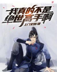 我真不是绝世高手免费阅读