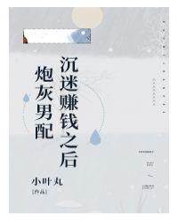 炮灰男配沉迷挣钱以后