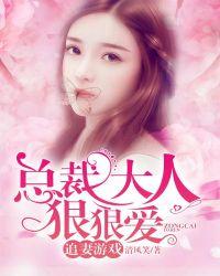 总裁大人追妻令