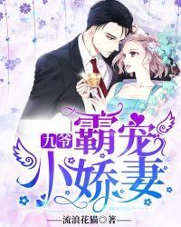 幸运三宝九爷霸宠小娇妻