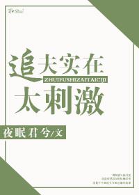 追夫类