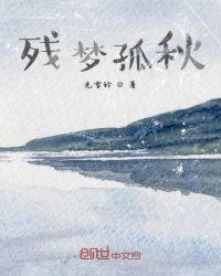 孤梦残影