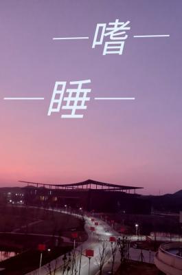 嗜睡读音