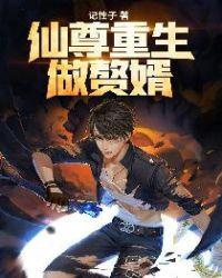 仙尊赘婿离婚