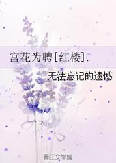 宫花红讲什么