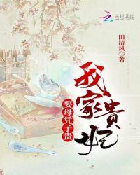 清穿之我家贵妃这般美