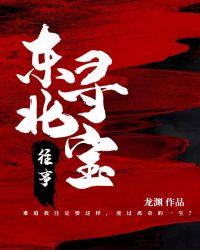 东北寻宝往事短剧免费观看